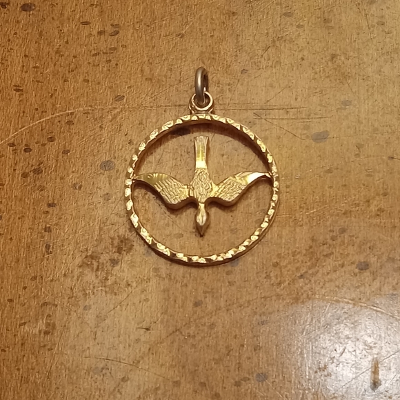Chapel 1/20 Gold Holy Spirit Dove Pendant - Picture 8 of 8